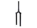Forcella CSU RS Lyrik Ultim.DA 29 Boost 11.4018.090.031,51 Offset,all,GlossBlack