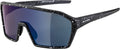 ALPINA Occhiali da sole Ram HM+
