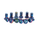 Kit de tornillos SRAM para disco de freno T25, titanio, Rainbow, 12 piezas