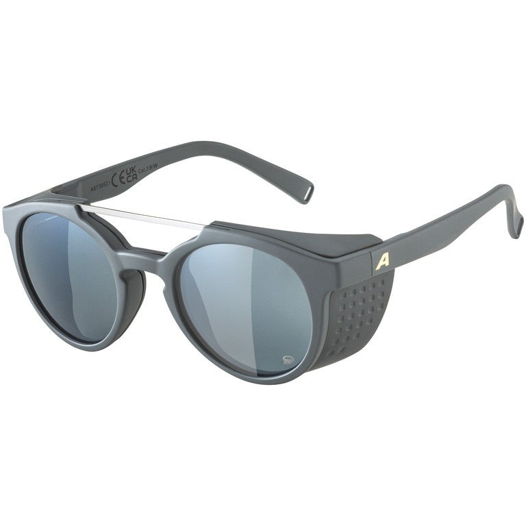 ALPINA Occhiali da sole Glace P