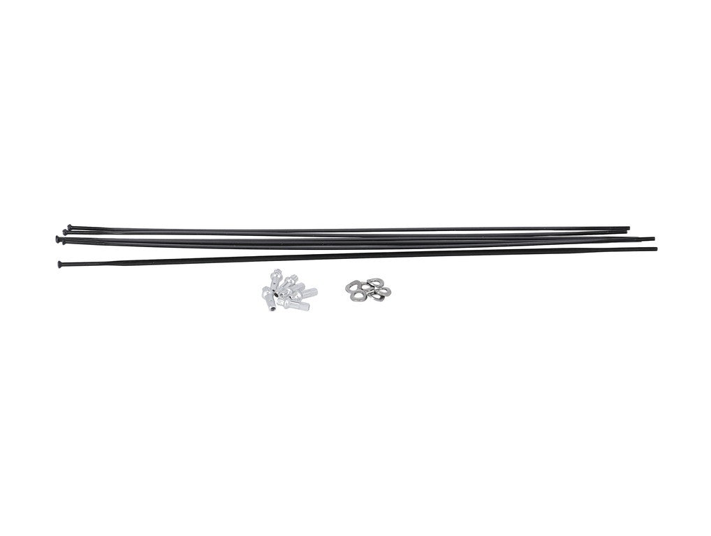 Kit raggi DT Swiss PR 1600 Dicut 21 DB MY 19-23, RA + RP, nero