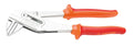 Pappagallo Unior rosso, 240mm - 449/1PYTHON-US