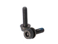 Viti Campagnolo H11 (freno a disco) 2x19mm per 10-14mm posteriore