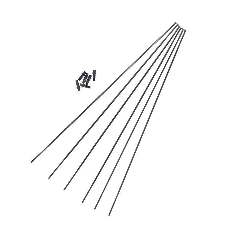 Kit raggi DT Swiss EXC1200 Spl.29/30 dal MY 21, RA + RP, nero