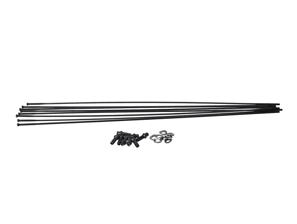 Kit raggi DT Swiss CR1600 Dicut 25 DB nur MY 19, RA + RP, nero