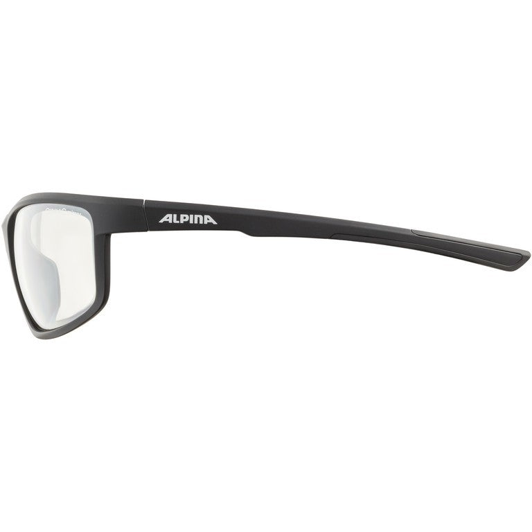 ALPINA Occhiali da sole Defey