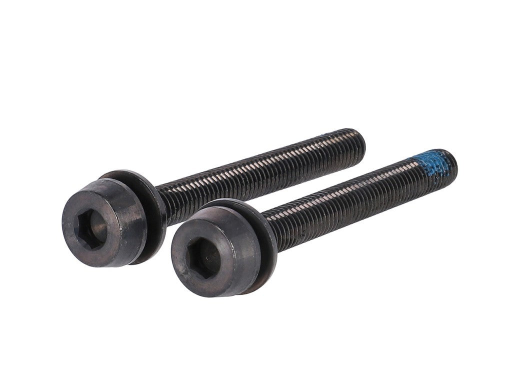 Viti Campagnolo H11 (freno a disco) 2x39mm per 30-34mm posteriore