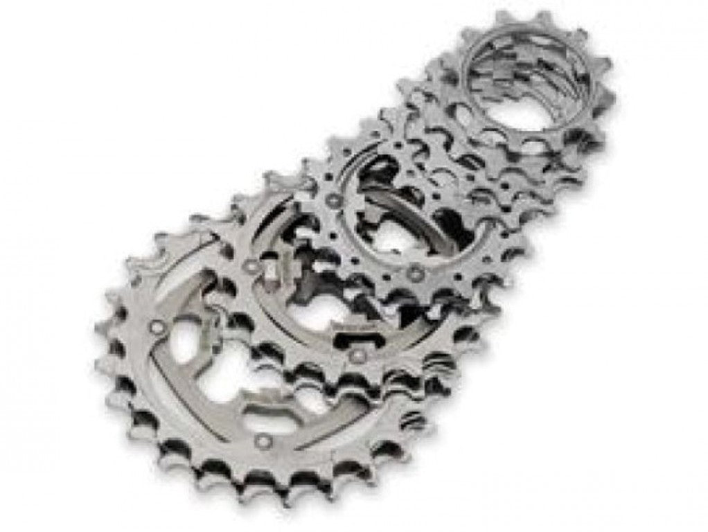 Campagnolo-Ritzel, 17 Zähne, 10-fach.