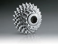 Pacco pignoni Miche Primato 10vel 18-27d. comp. c. Campa, arg