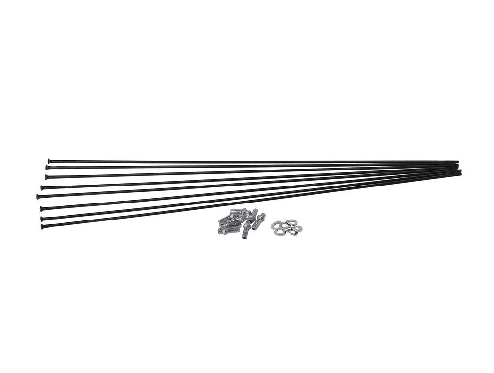 Kit raggi DT Swiss HX 1501 Spline 29 MY 19-22, RA + RP, nero
