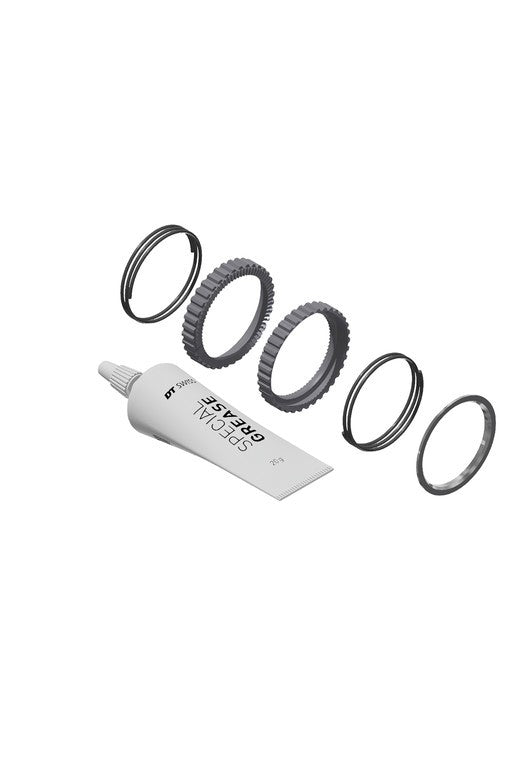 Service-Kit DT Swiss Nabe RP Ratsche DEG, 72T, s. Werkzeug