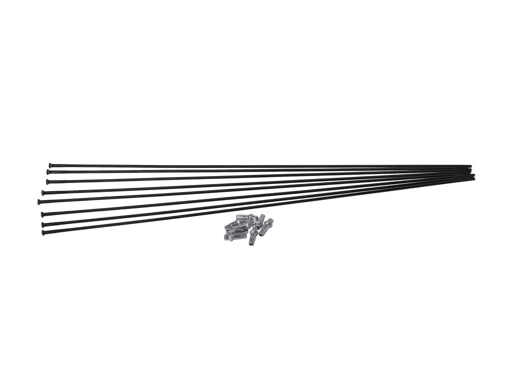Kit raggi DT Swiss PRC 1400 Spline 65 dal MY 18, RA + RP, nero