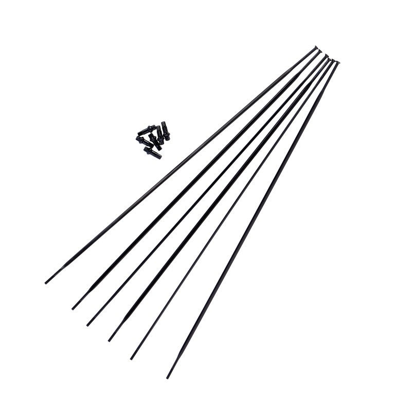 Kit raggi DT Swiss HG 1800 Spline 25DB MY 20-23, RA+RP, 650B, nero