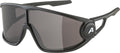 Alpina Legend Sportbrille schwarz/op, schwarze Gläser, Kat. 3, hyd.