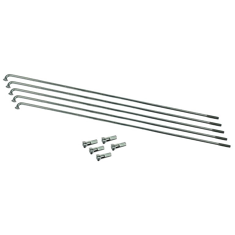 Raggi Babboe 13/160 (5 pezzi/confezione) acciaio inox con nipple,polyax,13Gx14,00