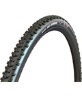 MAXXIS ALL TERRANE 700x33c TLR schwarz 120TPI