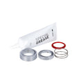 Service Kit DT Swiss Star Ratchet EXP36 36 denti